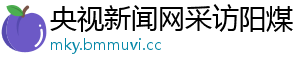 央视新闻网采访阳煤
